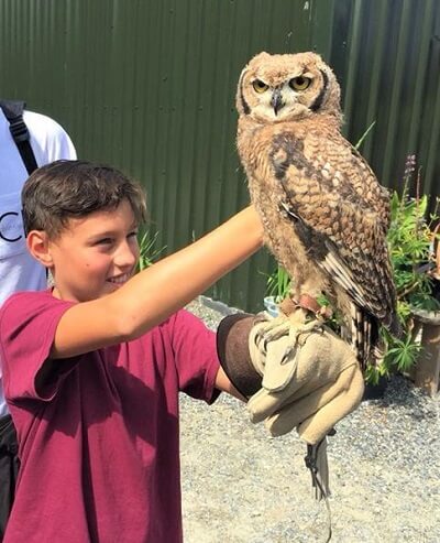 Un étudiant junior dans un parc d'aventure dans le comté de Wicklow pendant le programme d'été en anglais pour les enfants en Irlande