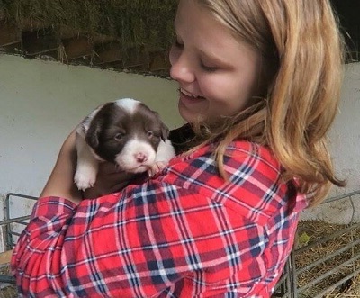 Une étudiante de l'école d'été avec un chiot dans une ferme irlandaise pendant son séjour d'été à Dublin